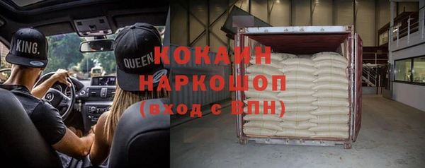 стаф Инта