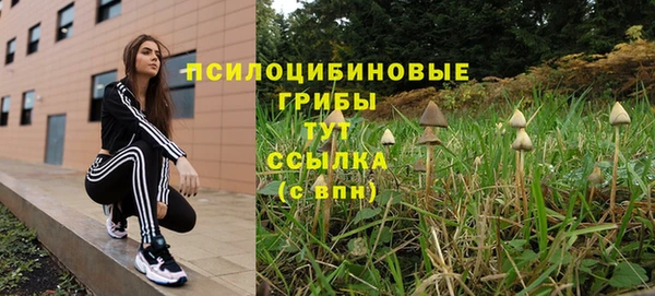 стаф Инта