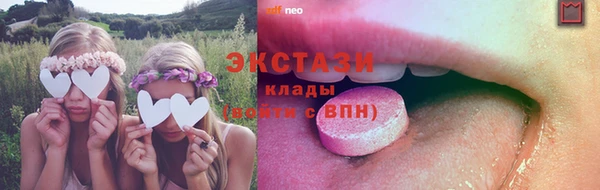 стаф Инта