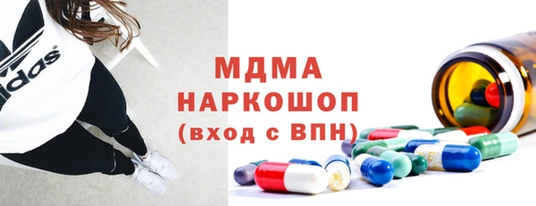 стаф Инта