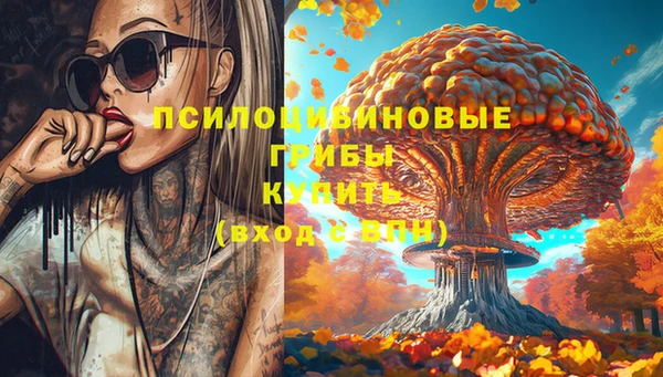 стаф Инта
