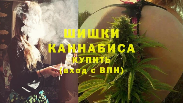 стаф Инта