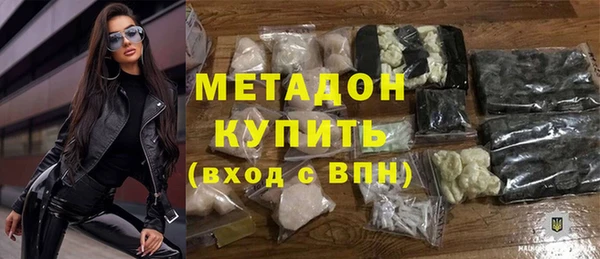 стаф Инта