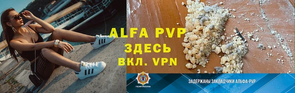 стаф Инта